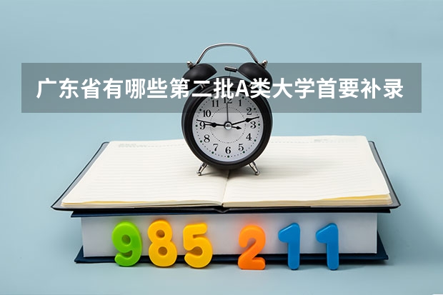 广东省有哪些第二批A类大学首要补录