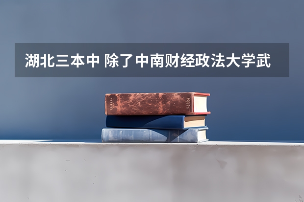 湖北三本中 除了中南财经政法大学武汉学院的会计专业好外还有哪个学校?