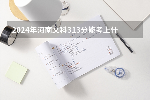 2024年河南文科313分能考上什么大学？