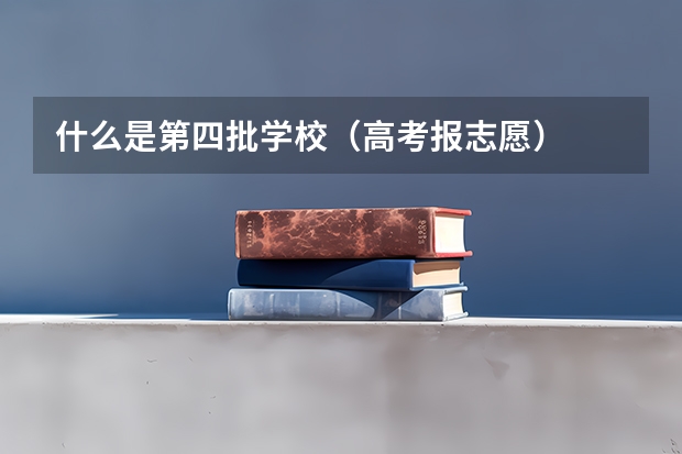 什么是第四批学校（高考报志愿）