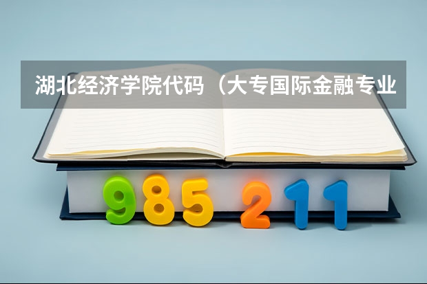 湖北经济学院代码（大专国际金融专业课程）