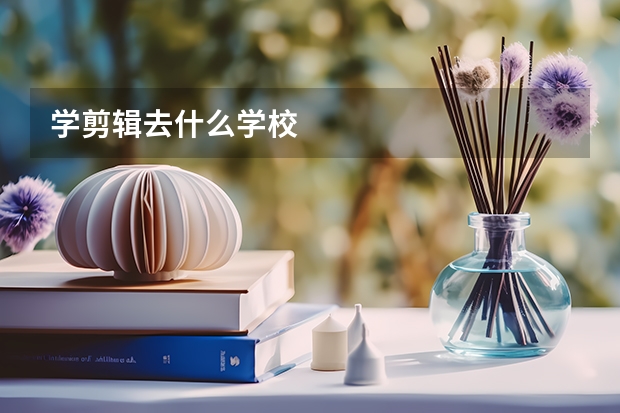 学剪辑去什么学校