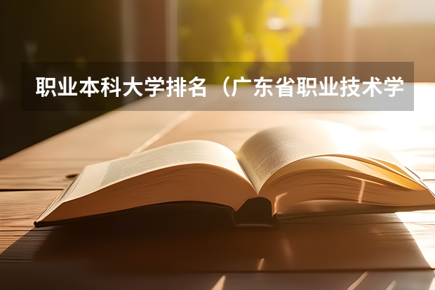 职业本科大学排名（广东省职业技术学院排名前十）