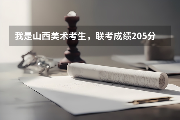 我是山西美术考生，联考成绩205分能上大学吗？