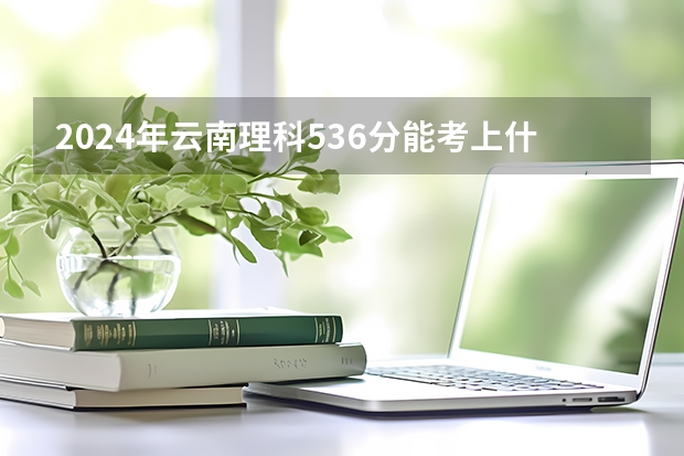 2024年云南理科536分能考上什么大学？