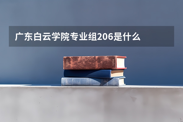 广东白云学院专业组206是什么