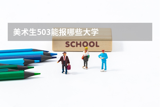 美术生503能报哪些大学