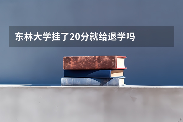 东林大学挂了20分就给退学吗