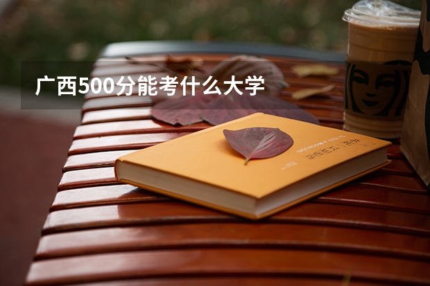 广西500分能考什么大学