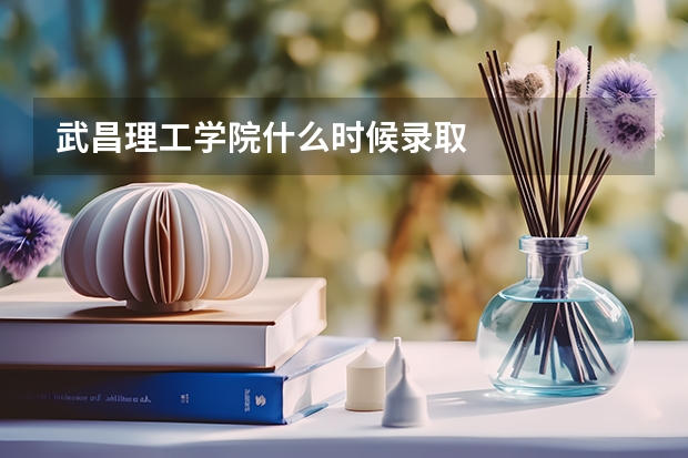 武昌理工学院什么时候录取