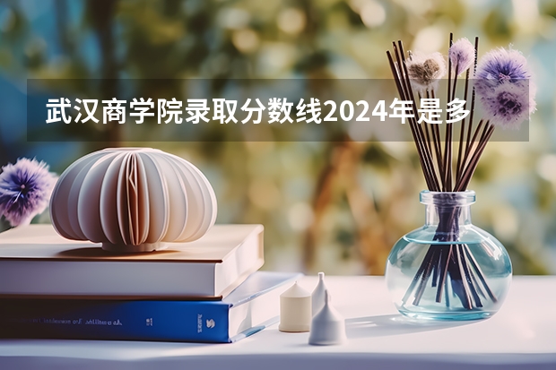 武汉商学院录取分数线2024年是多少分(附各省录取最低分)