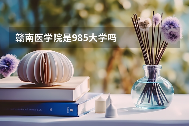 赣南医学院是985大学吗