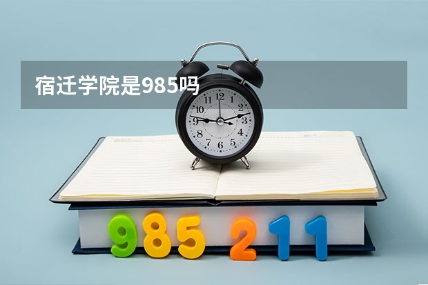 宿迁学院是985吗