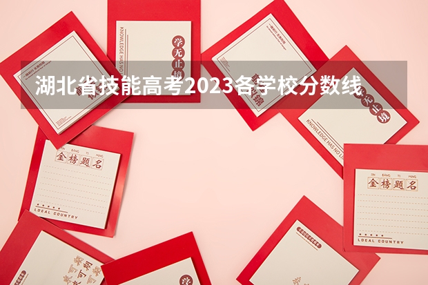 湖北省技能高考2023各学校分数线（荆楚理工学院分数线）