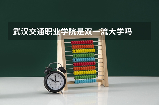 武汉交通职业学院是双一流大学吗