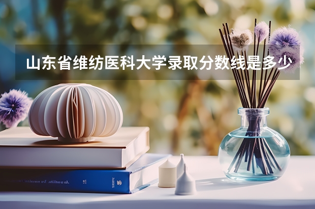 山东省维纺医科大学录取分数线是多少?