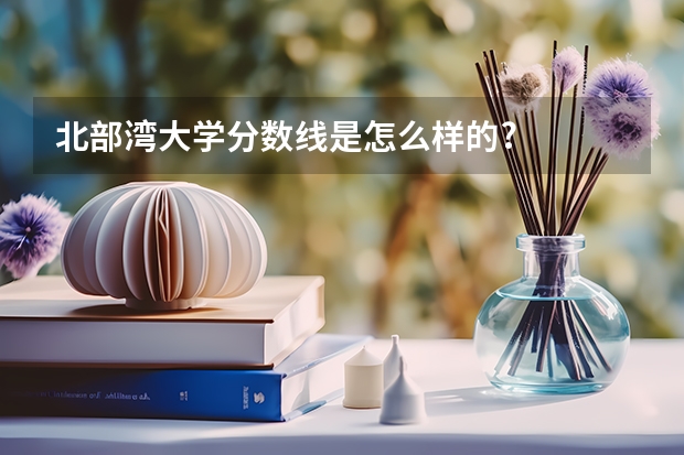 北部湾大学分数线是怎么样的?