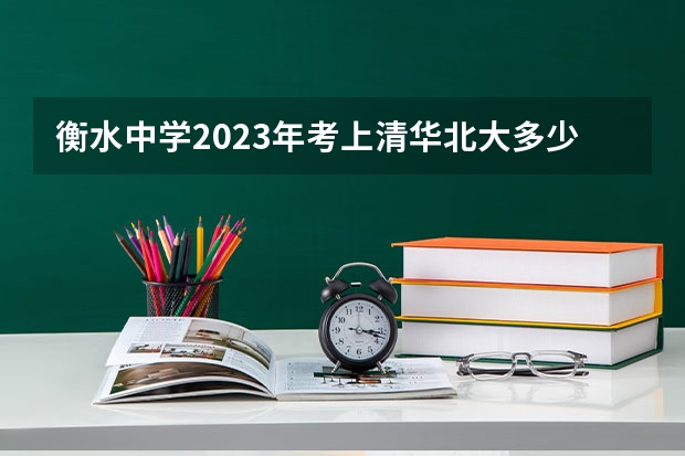 衡水中学2023年考上清华北大多少人