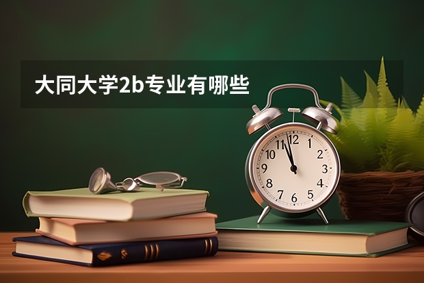 大同大学2b专业有哪些