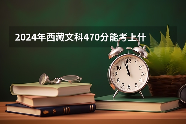 2024年西藏文科470分能考上什么大学？