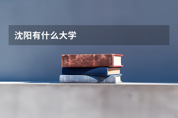 沈阳有什么大学