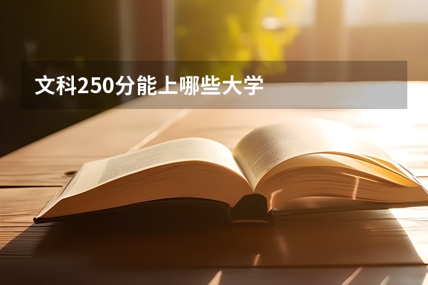 文科250分能上哪些大学