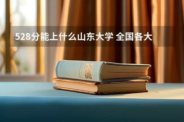 528分能上什么山东大学 全国各大学在山东录取分数线