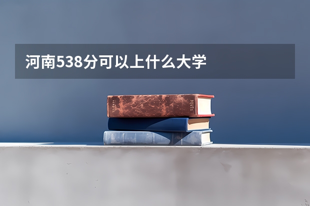 河南538分可以上什么大学